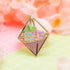 Enamel Pin - Succulent Terrarium