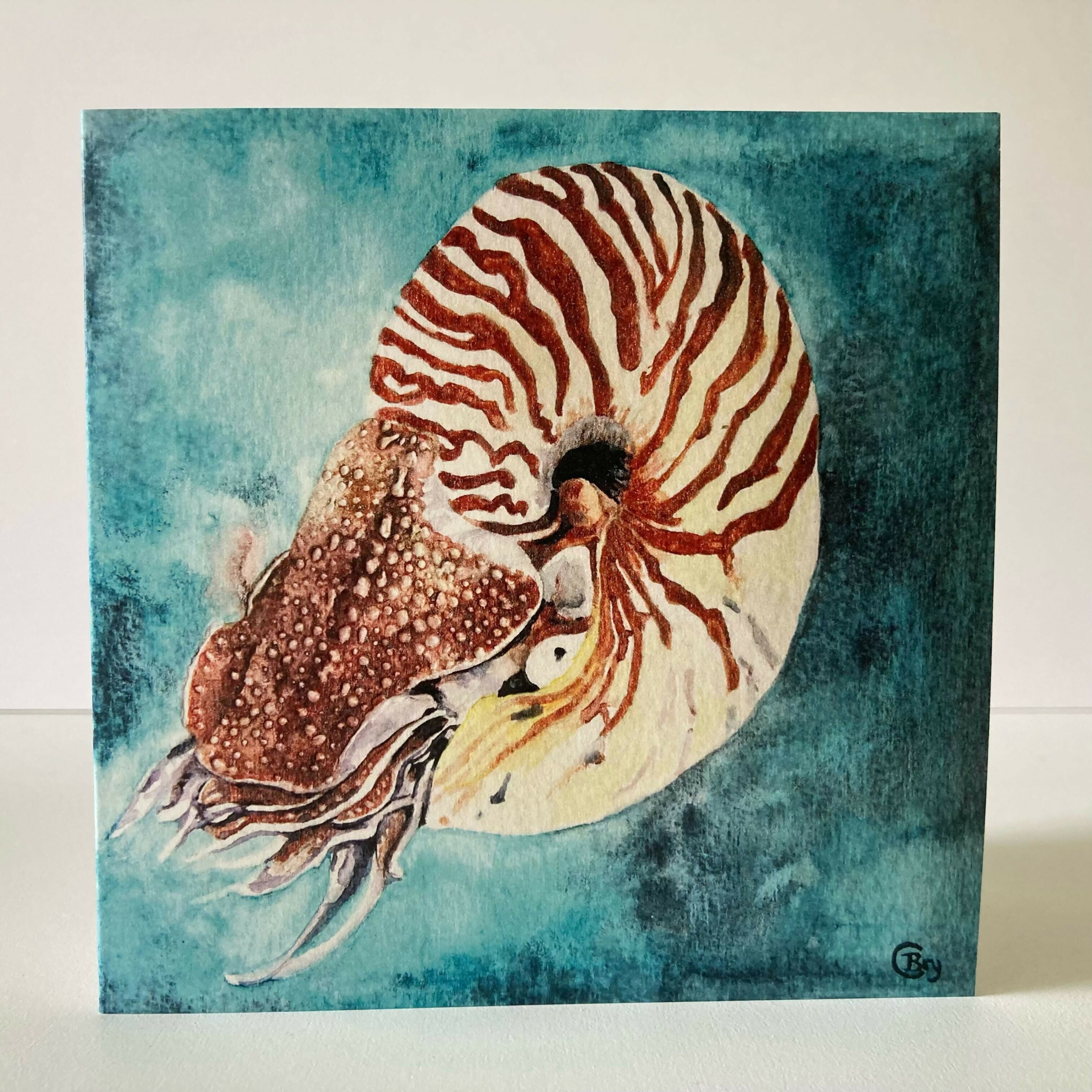 Nautilus - greetings card