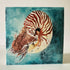 Nautilus - greetings card