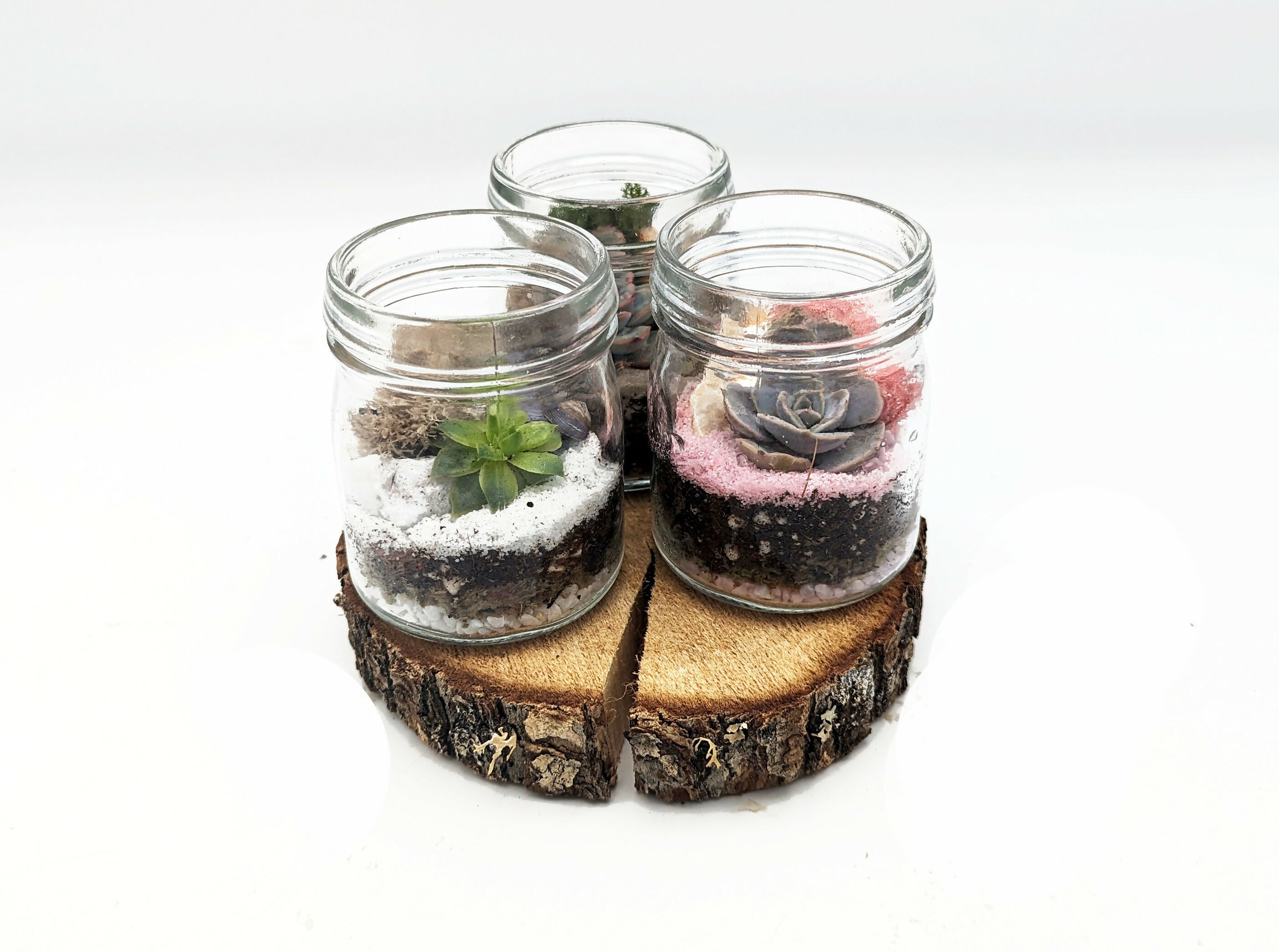 Mini Succulent Jam Jar
