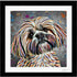 SHIHTZU DOG COLOUR SPLASH FRAMED ARTWORK.