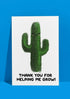 Teacher Thank You Cards