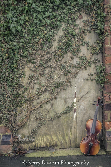 Violin_Abandoned_Broken_Ivy_Wrecked_gate_Bricks_Old