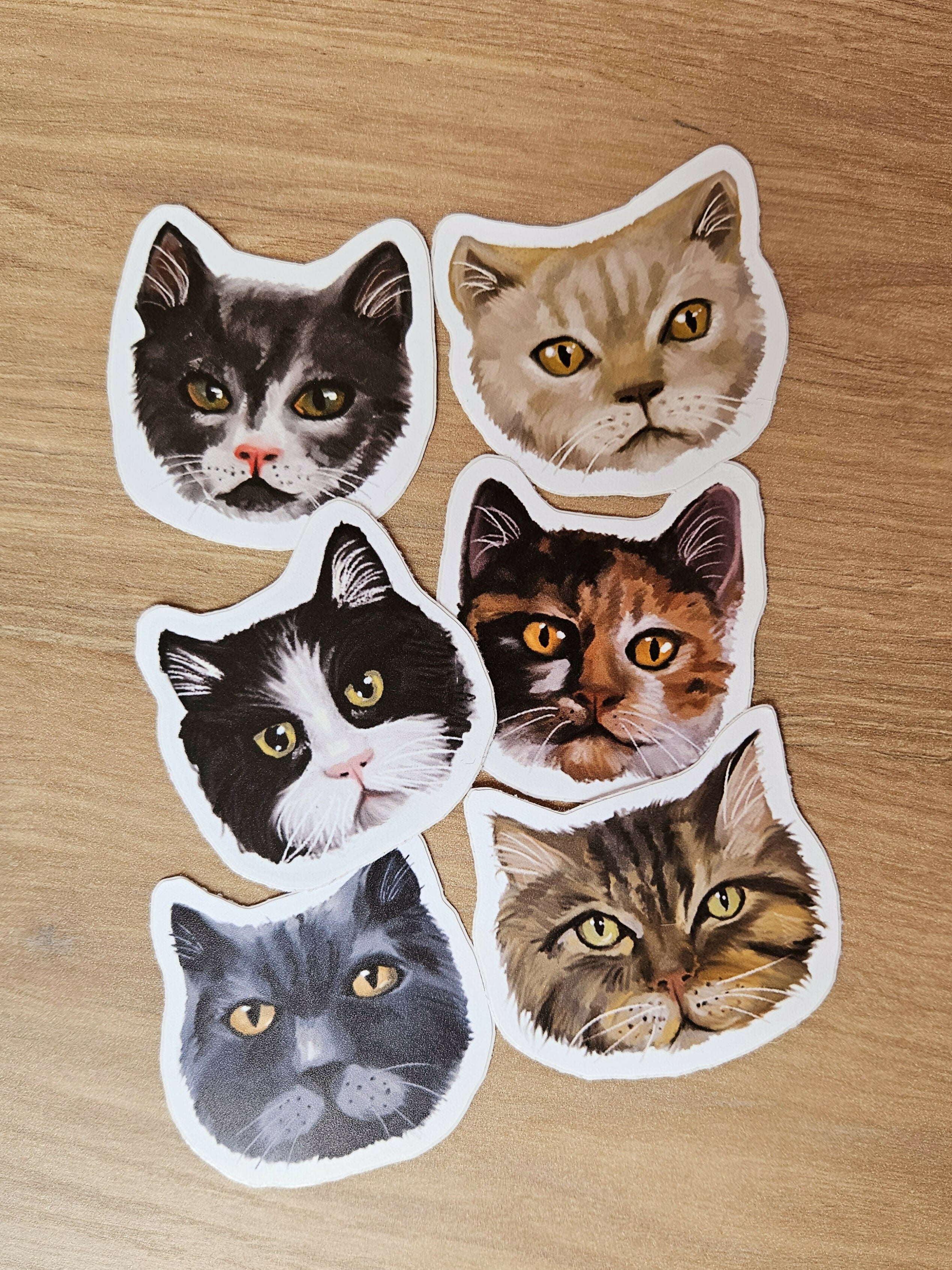 Cute Cat Face Vinyl Stickers