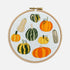 Pumpkin Embroidery Kit