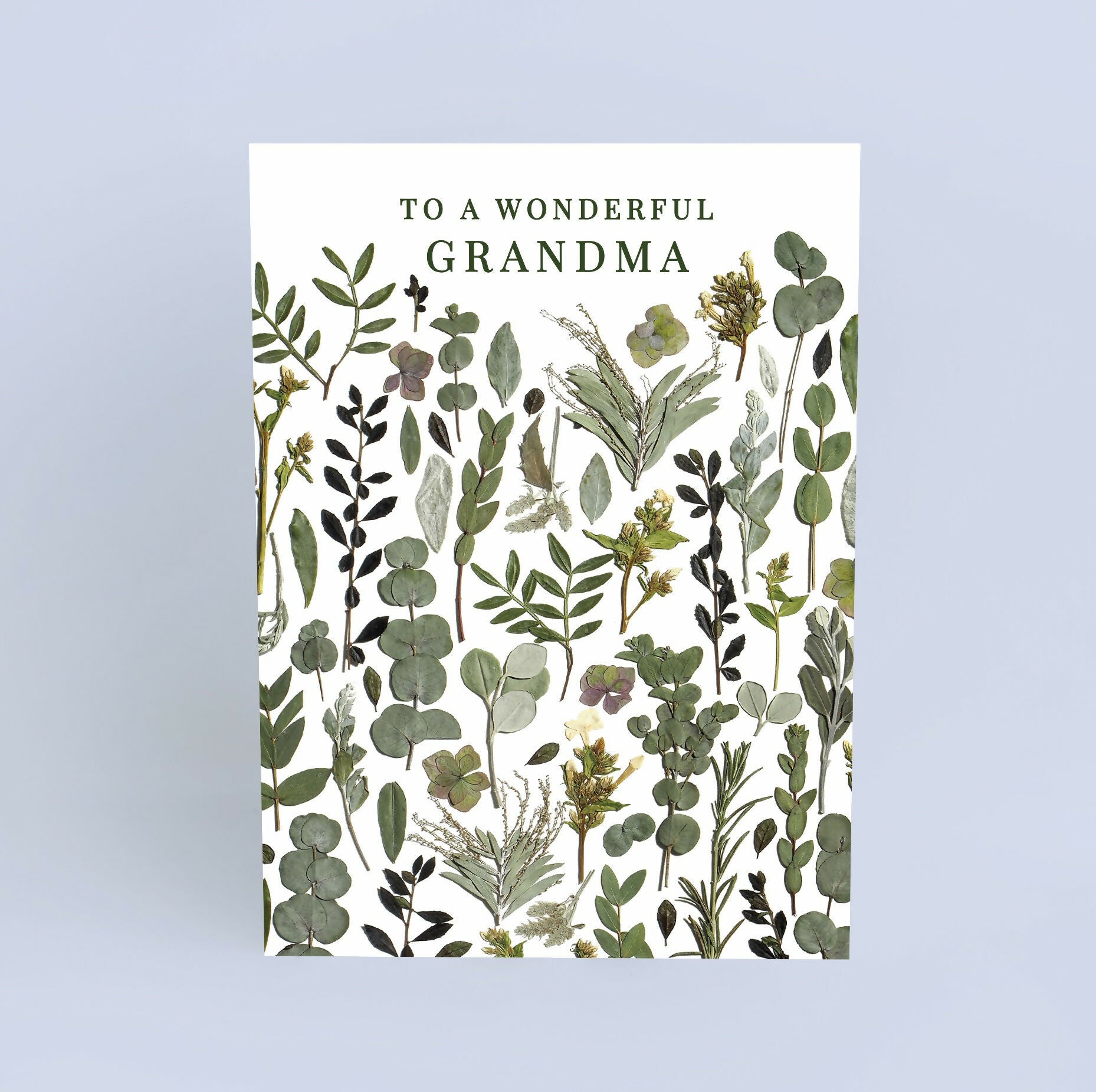 Wonderful Grandma Green Pressed Flower Print Card