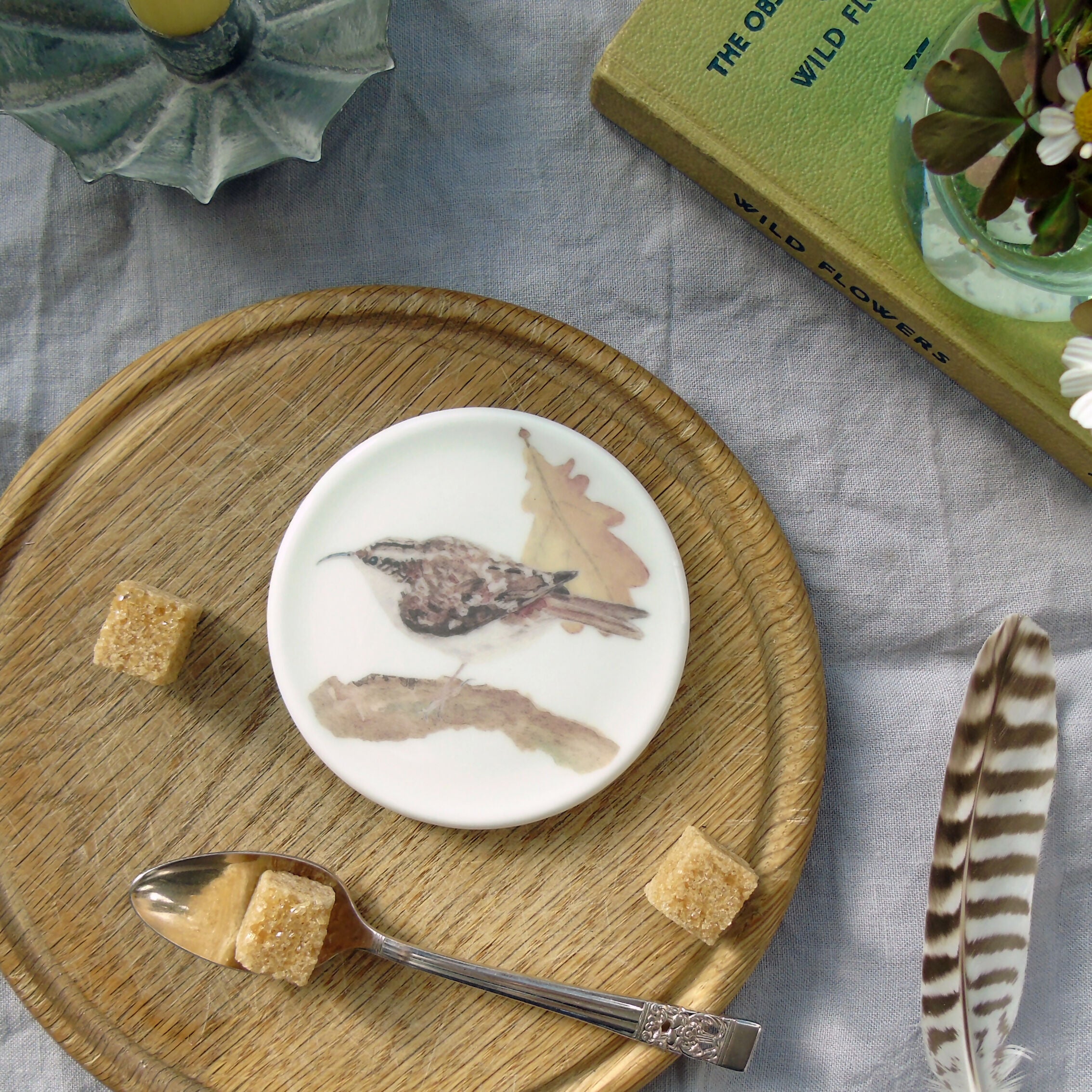 Treecreeper Coaster