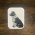 Sticker - Collie