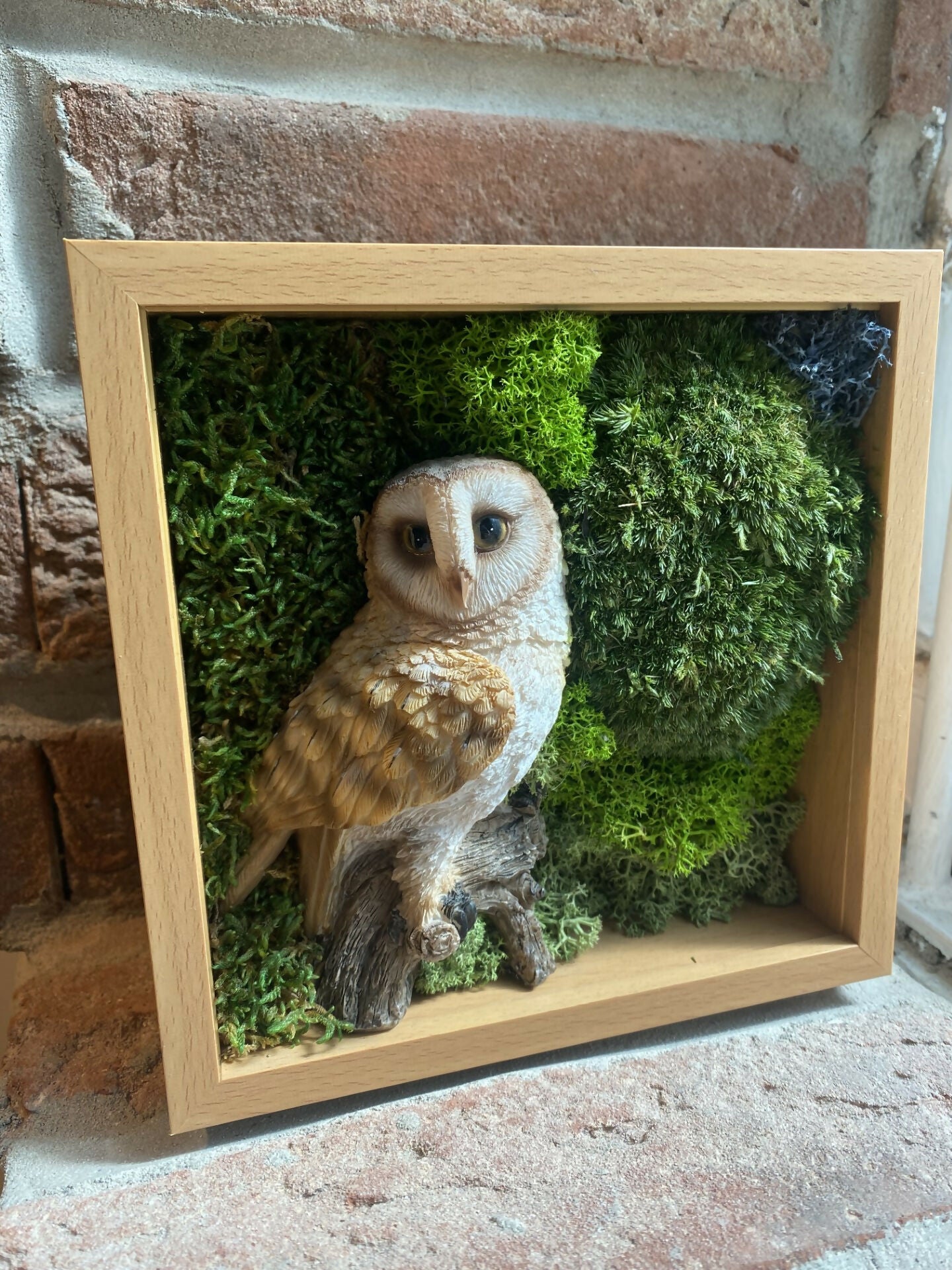 British Barn Owl