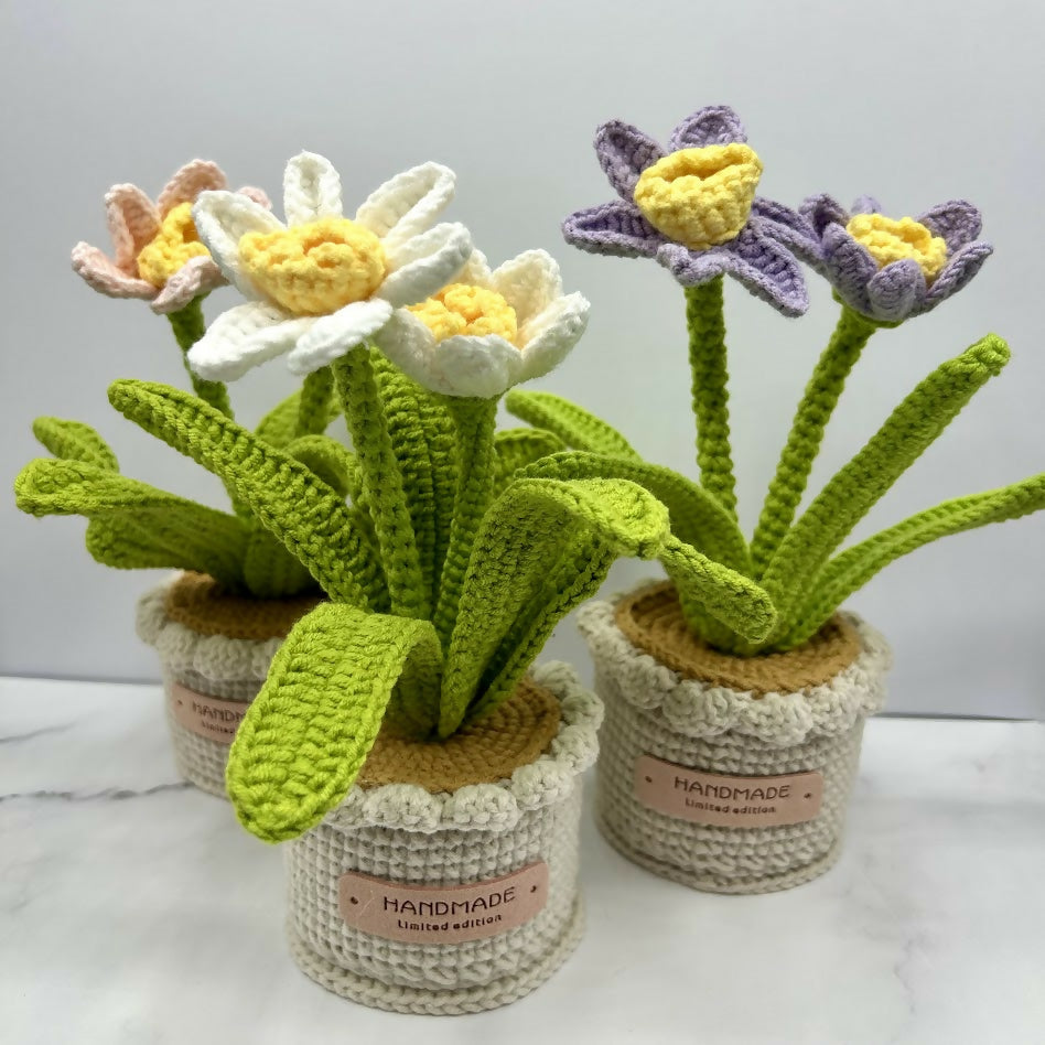 Crochet Daffodil In Scallop Edge Pot