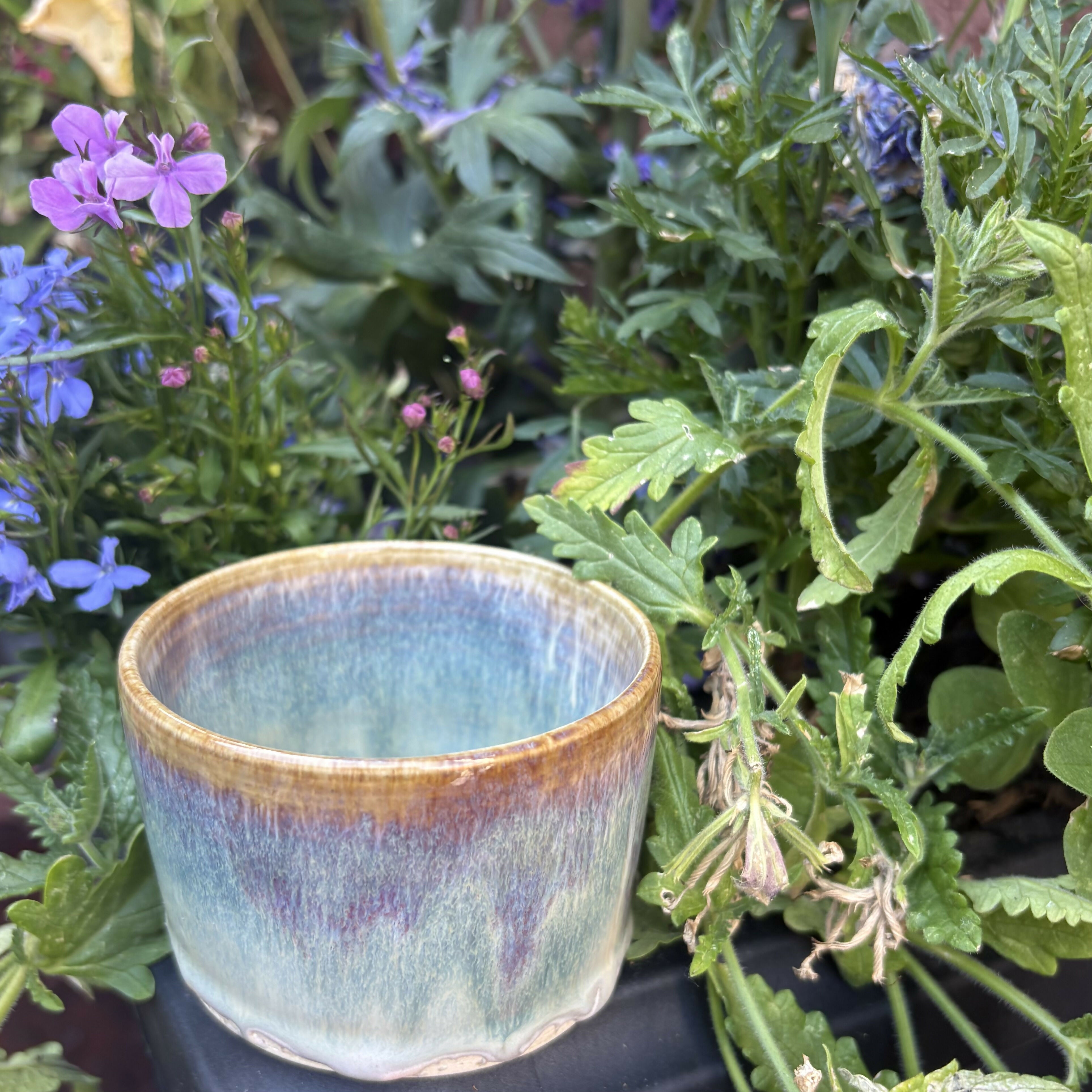 Hues and Cues Bowl