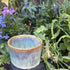Hues and Cues Bowl