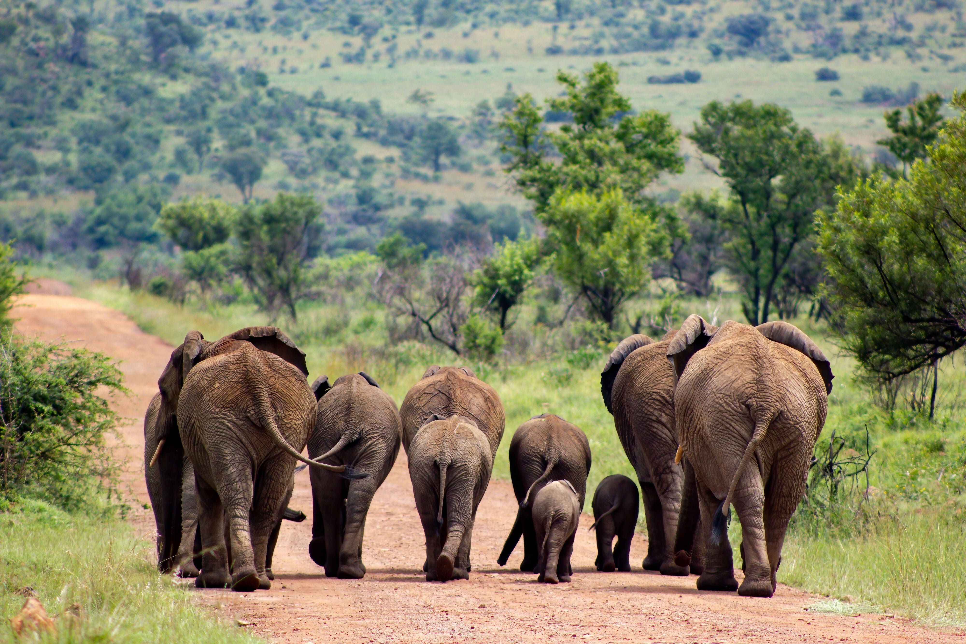 Family Test Print A5