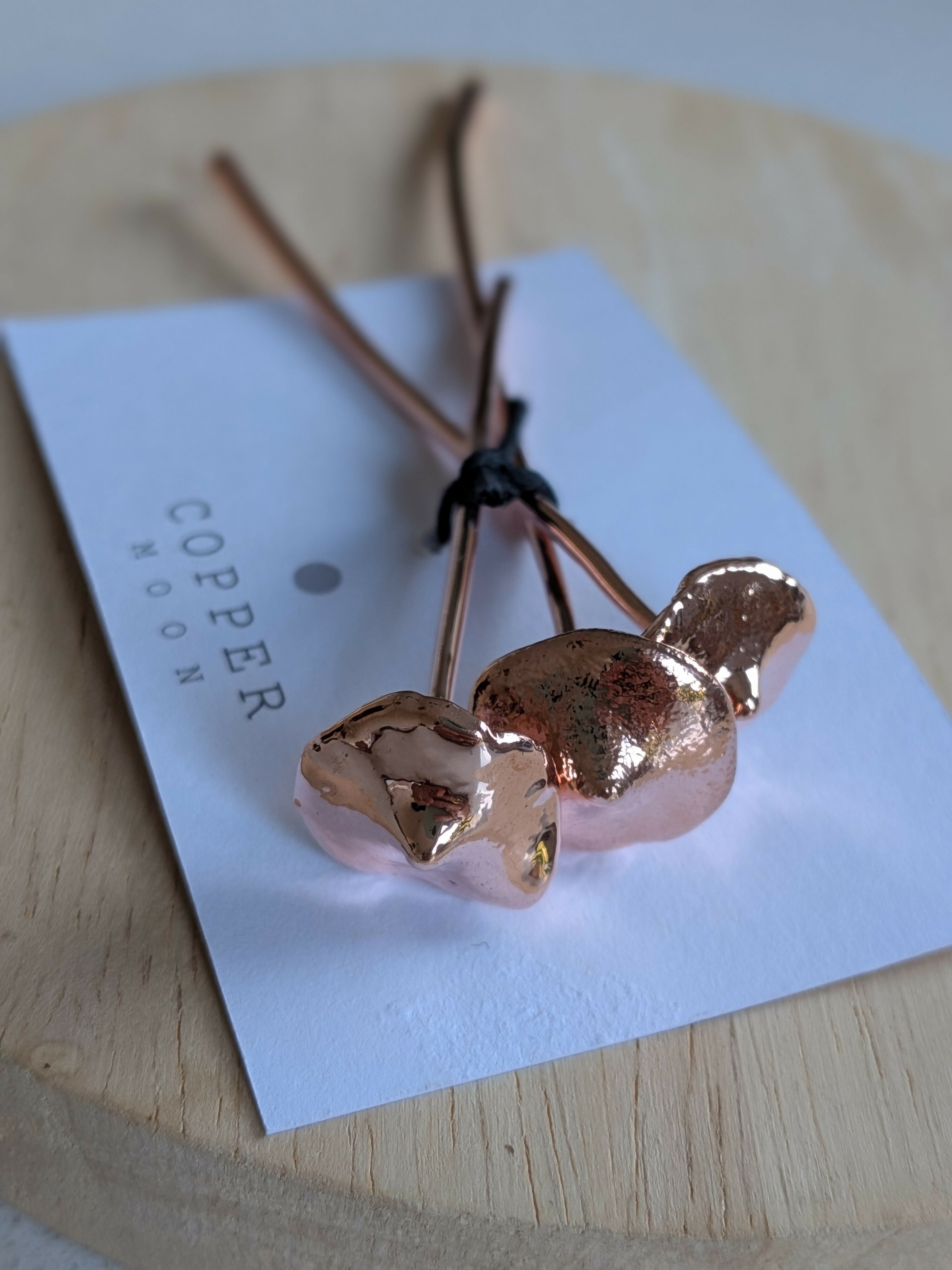Copper Mushroom Plant Decoration