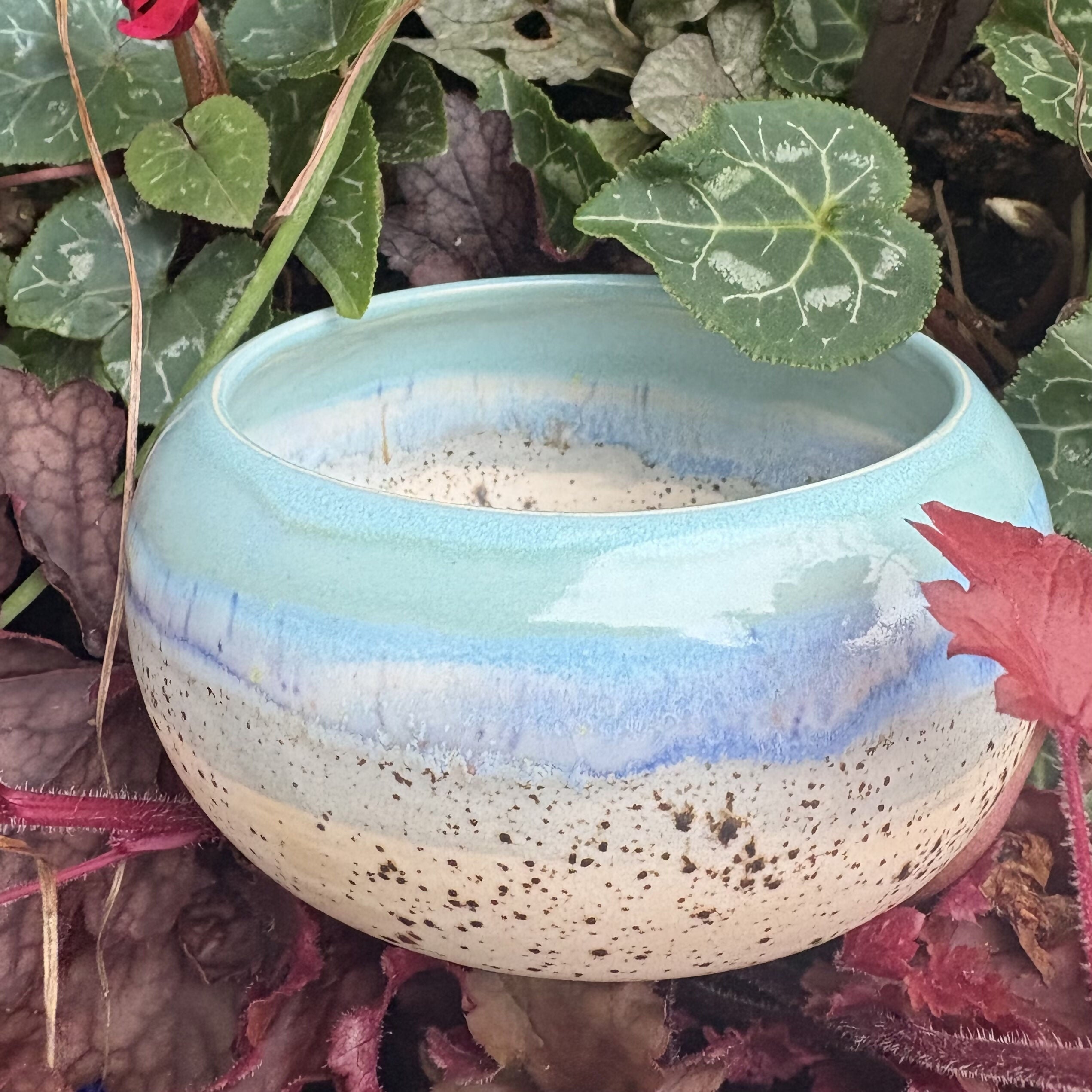 Speckled Beach Bowl