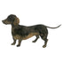 Dachshund Giclée Print