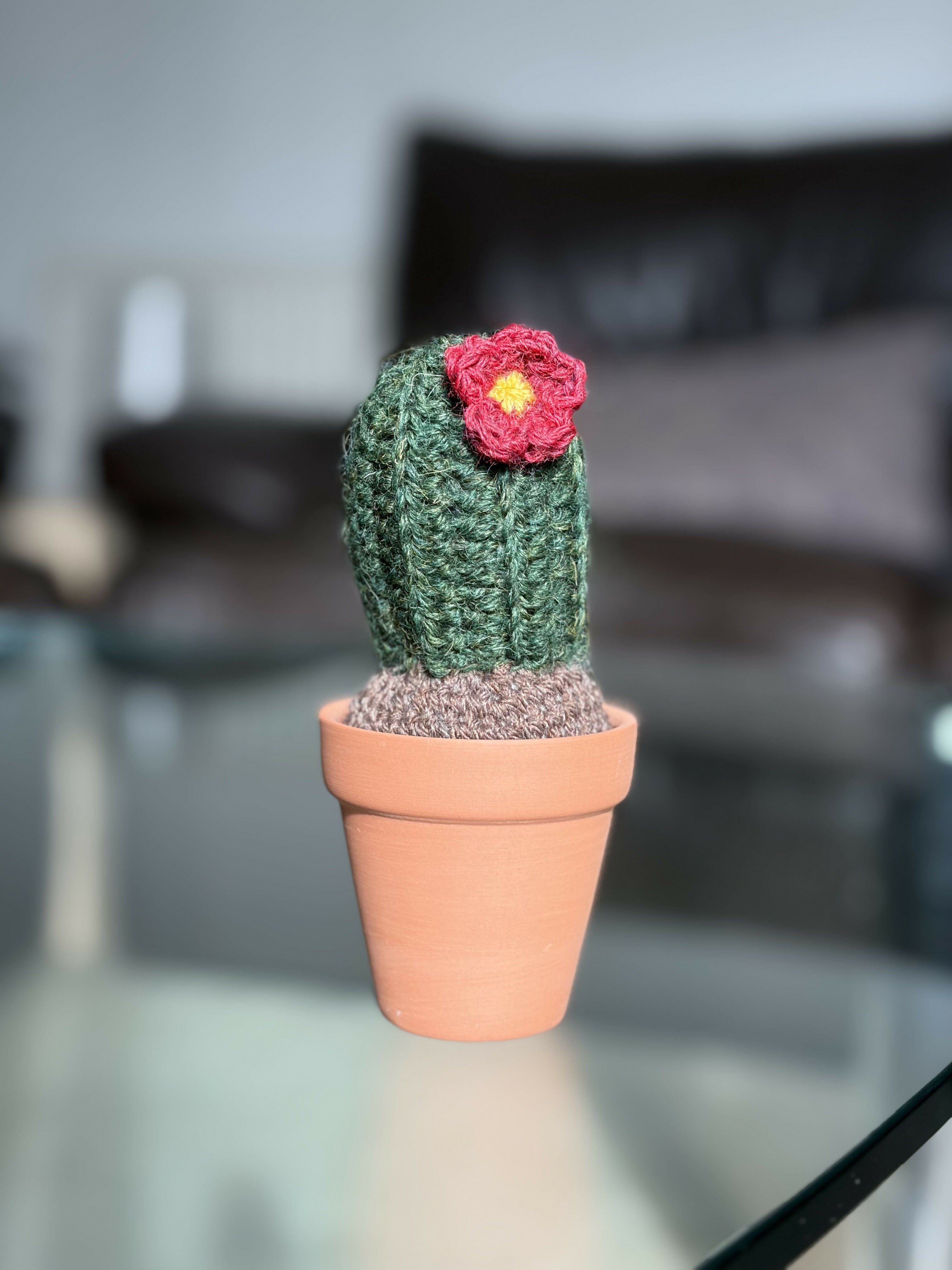 Crochet Potted Cactus