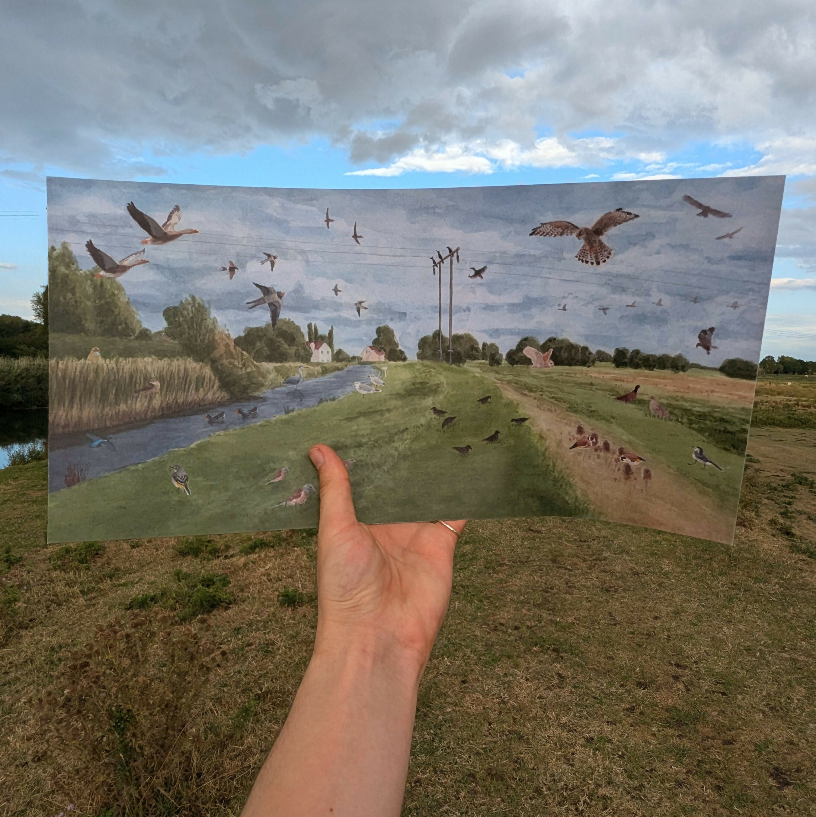 Birds of Beverley - 8 by 16 inch Print