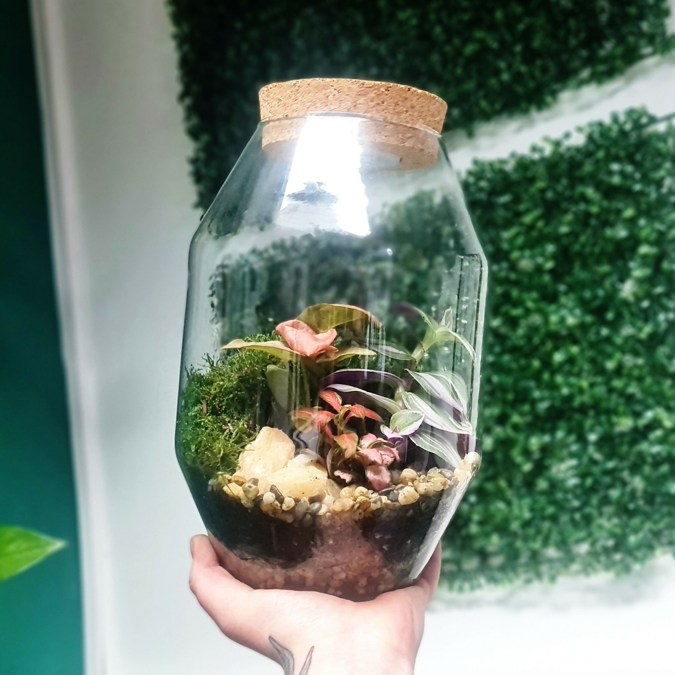 Geometric Closed Light Up Terrarium