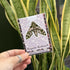 Oleander Moth - Matt Magnetic Bookmark