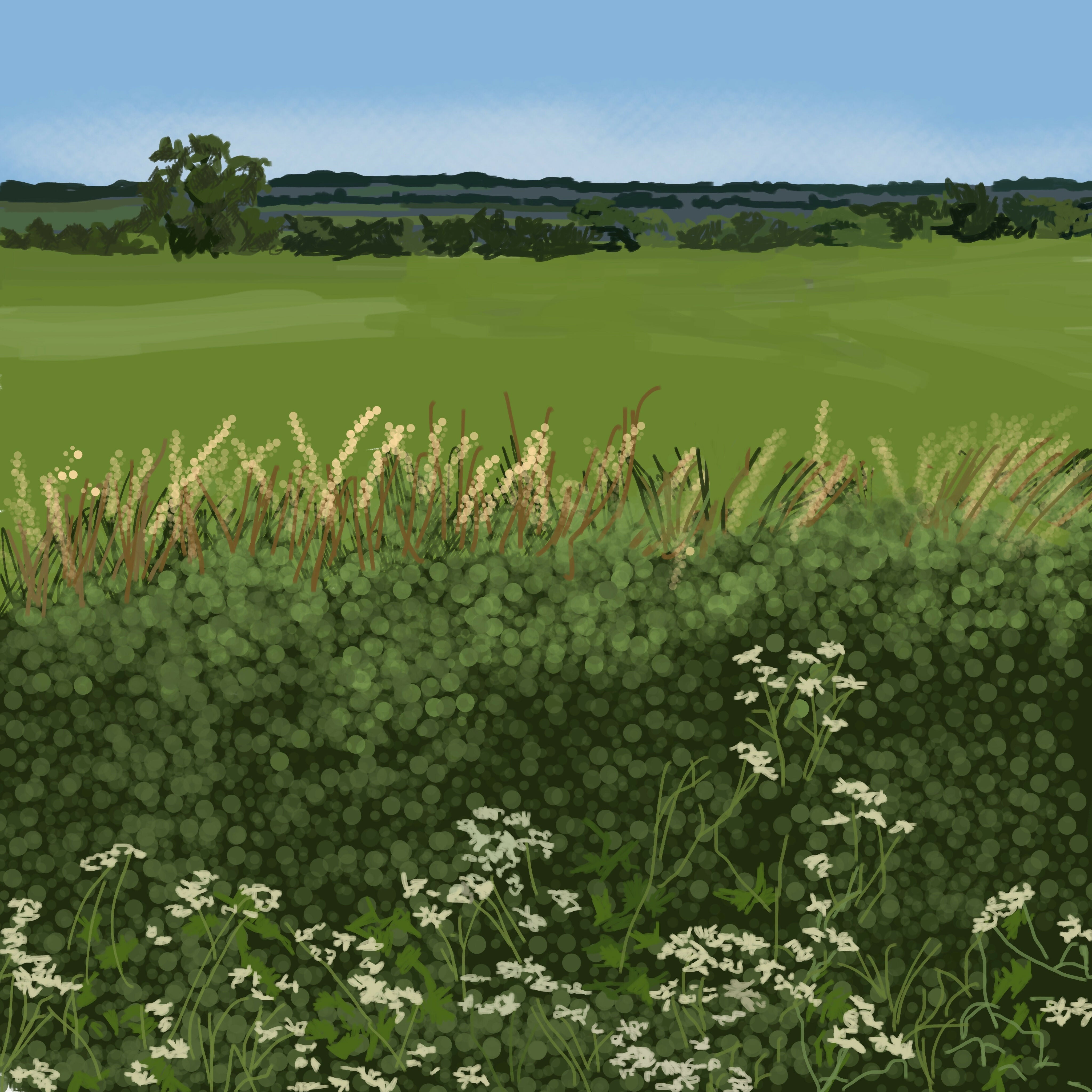 Bents Lane Hedgerow 12” x 12” Art Print