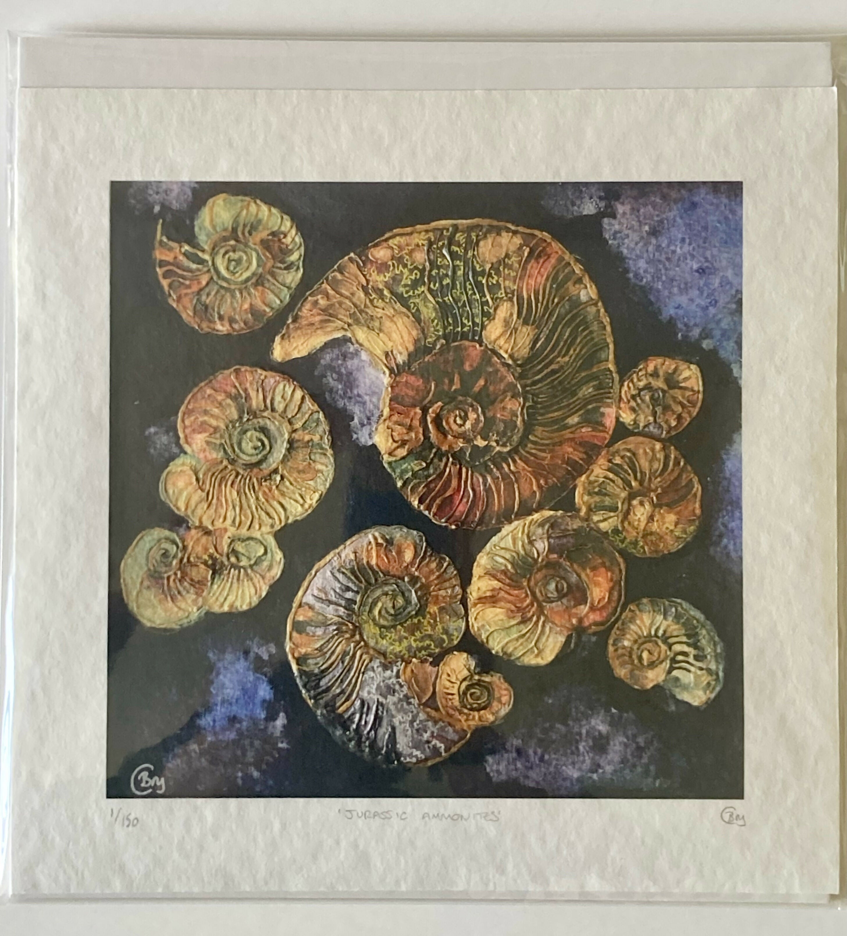 Jurassic Ammonite - Print