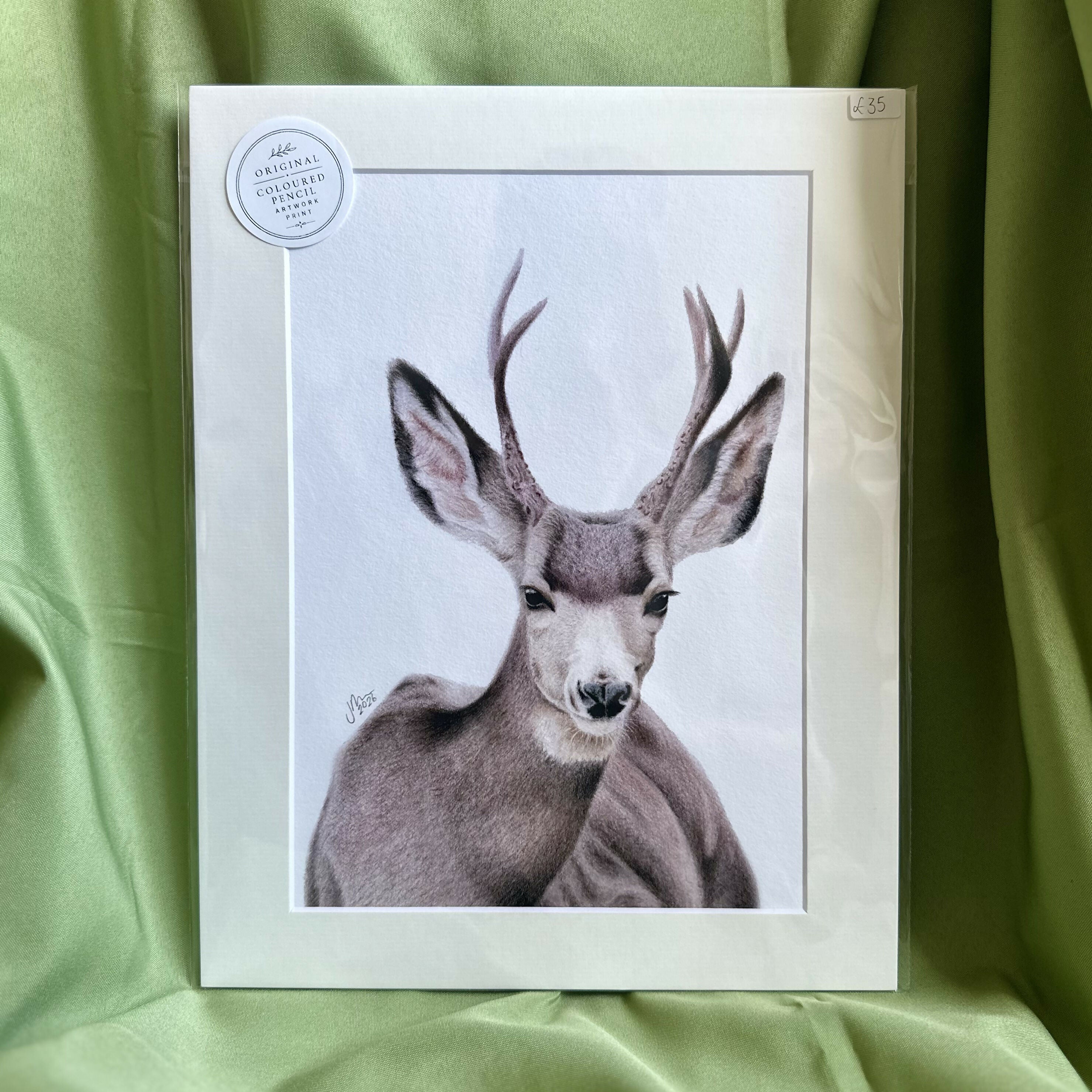 Mule Deer Wall Art | Luxury Velvet Paper Print | Woodland Animal Decor