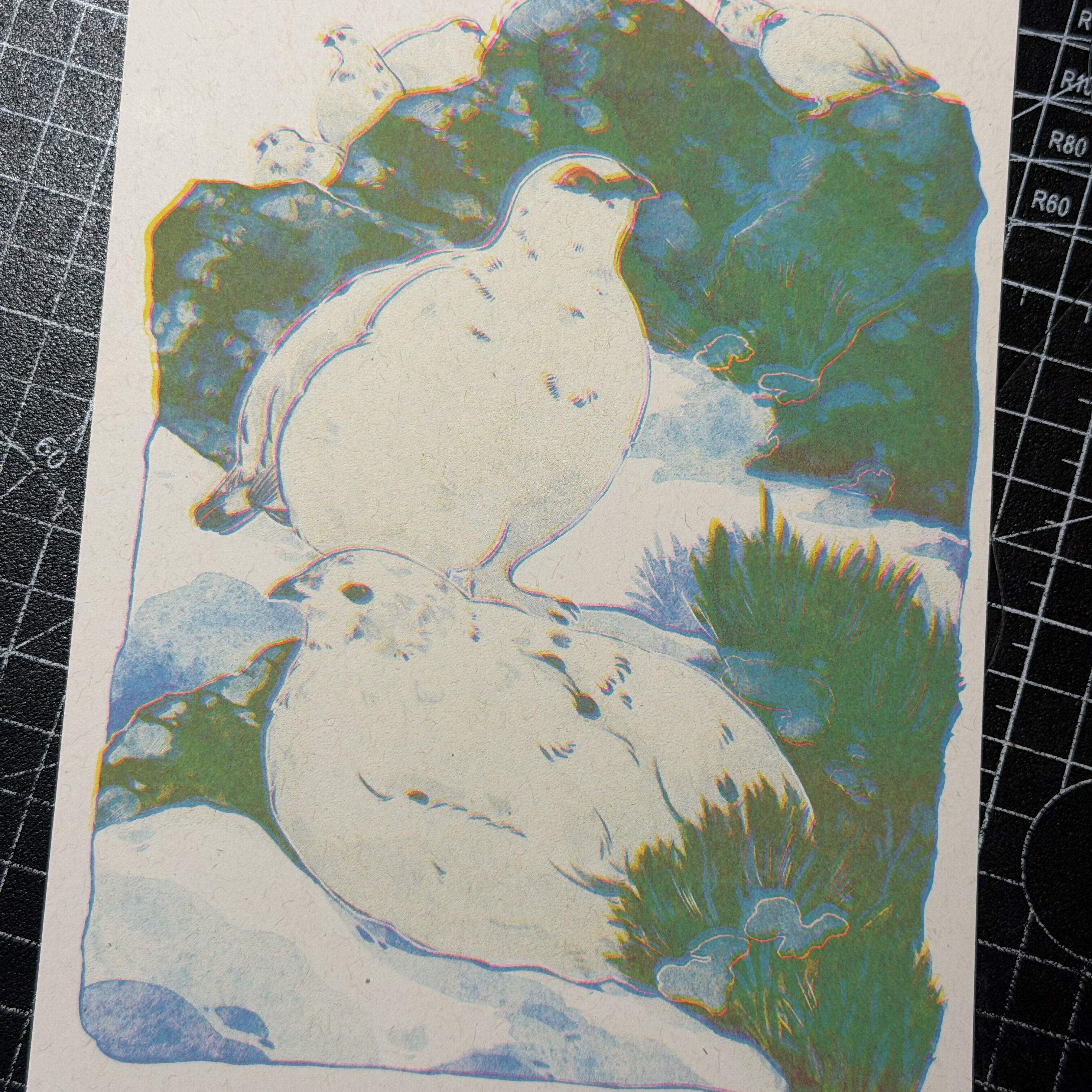 Wild Birds Riso Print