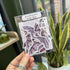 Bewitching Bats - Gloss Sticker Pack