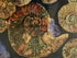 Jurassic Ammonite - Print