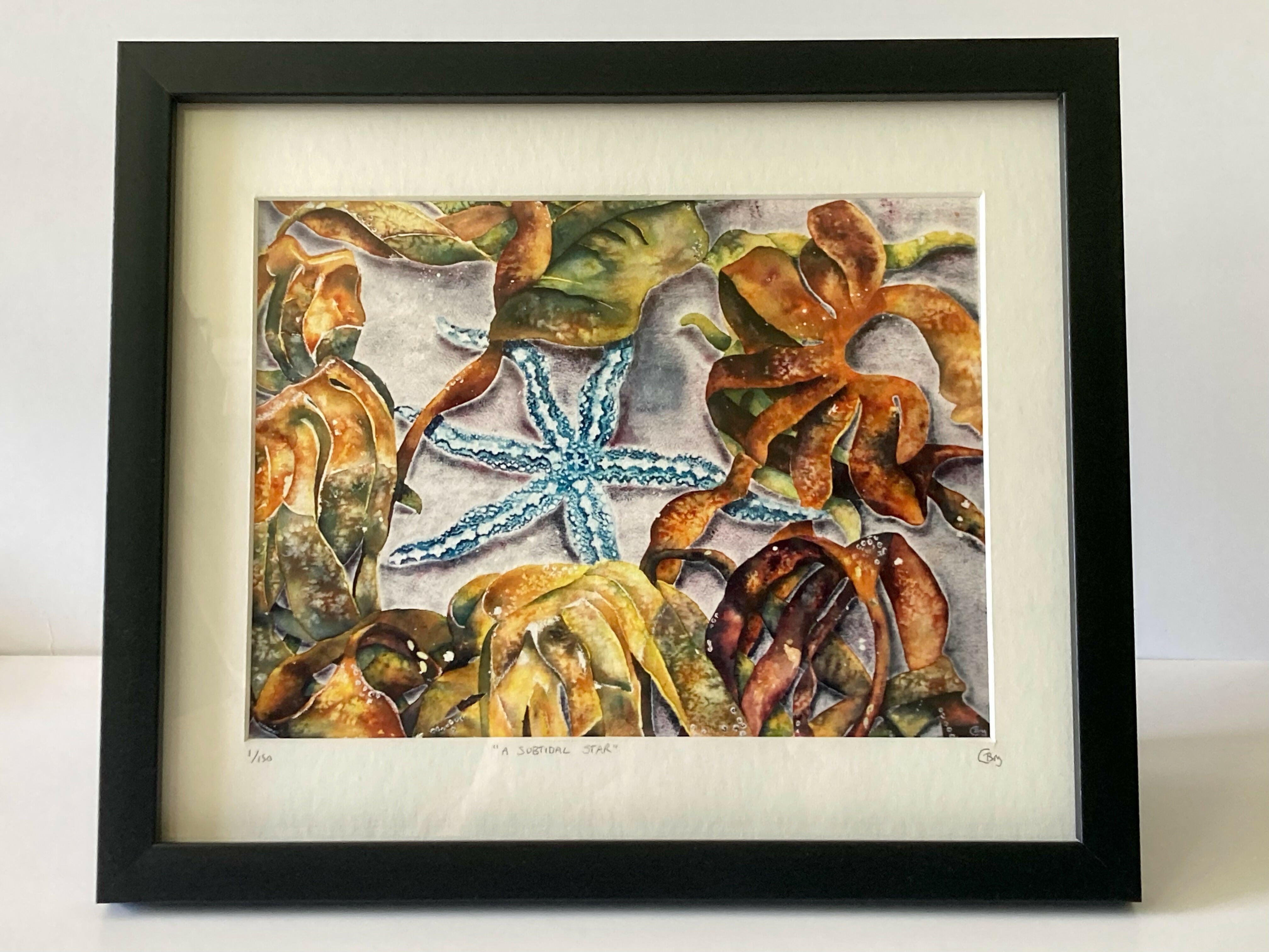 A subtidal Star - Print