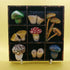 Clay Toadstool Small Wooden Black Painted Trinket Tray