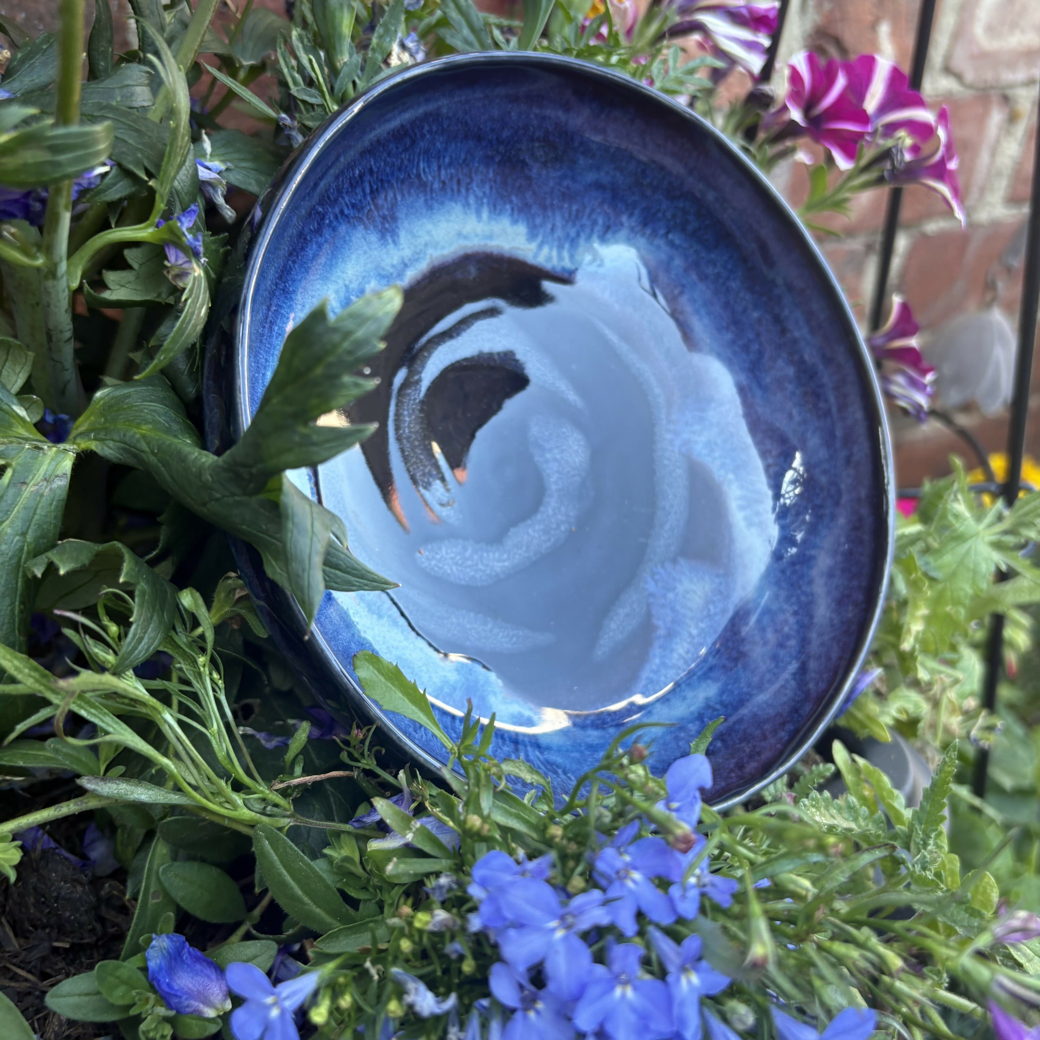 Northern Lights Bowl