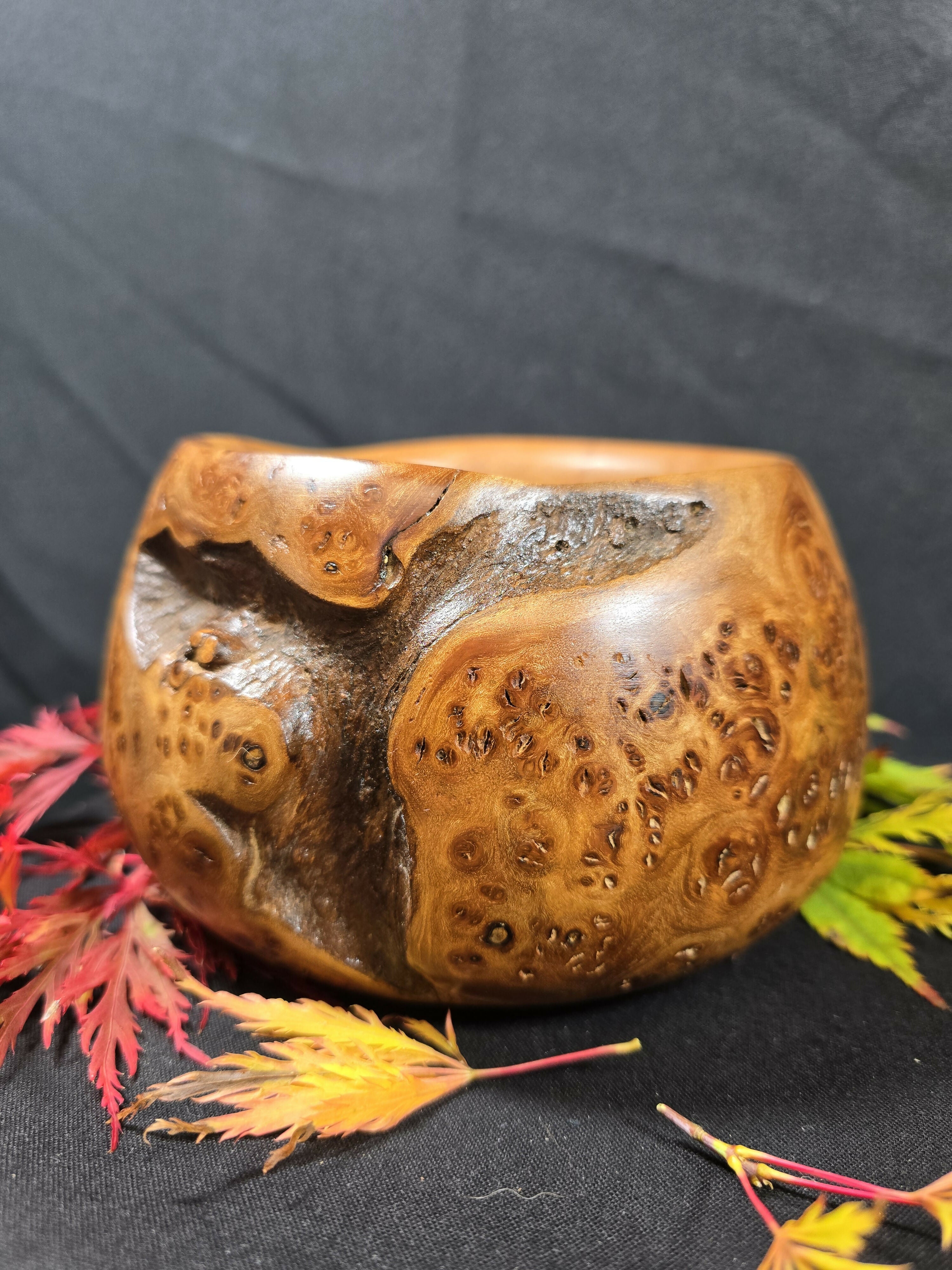 Hand Turned Unique Elm Burr Bowl