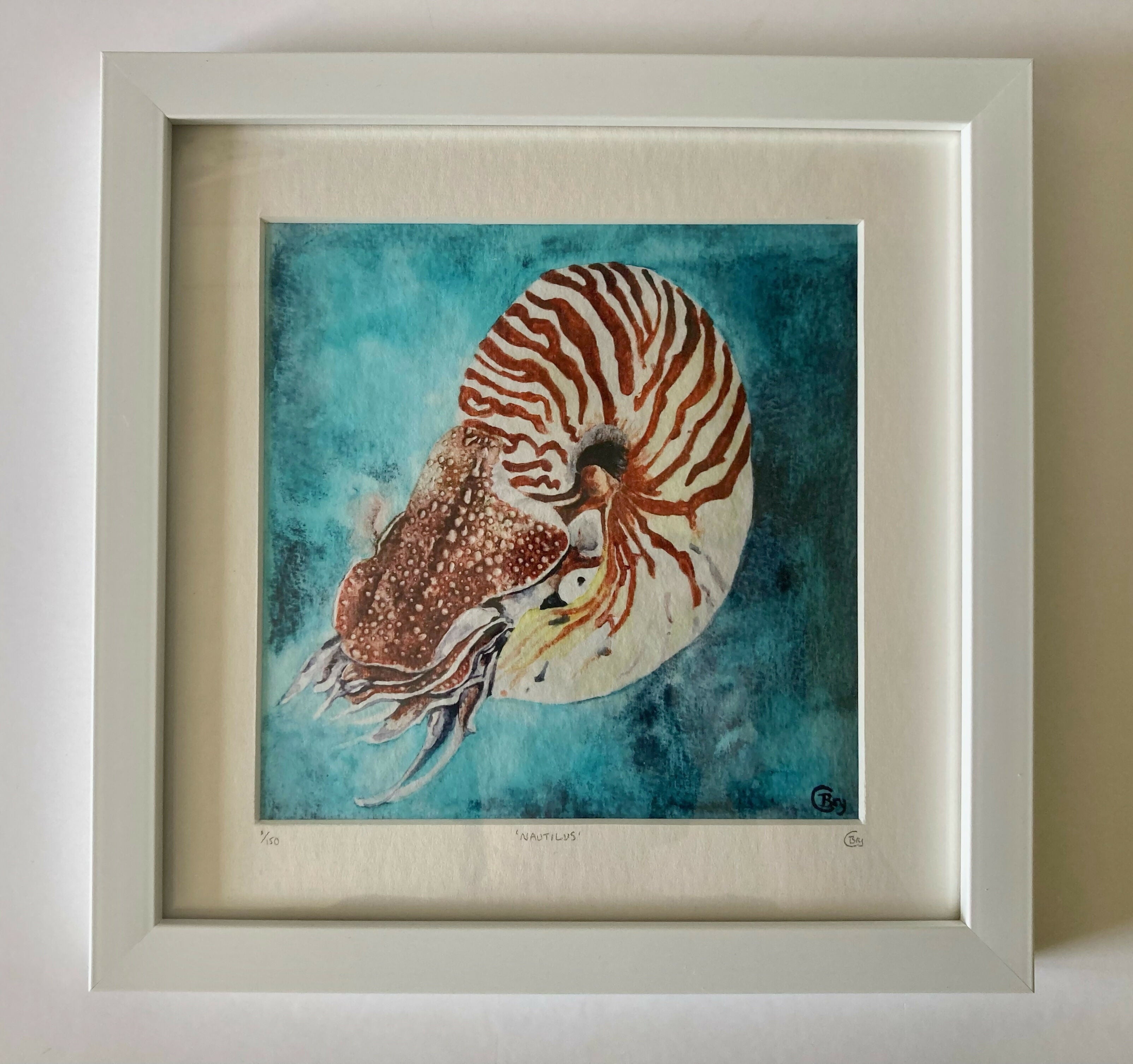 Nautilus - Print