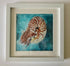 Nautilus - Print