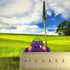 Happy Aubergine Friend Memo Holder