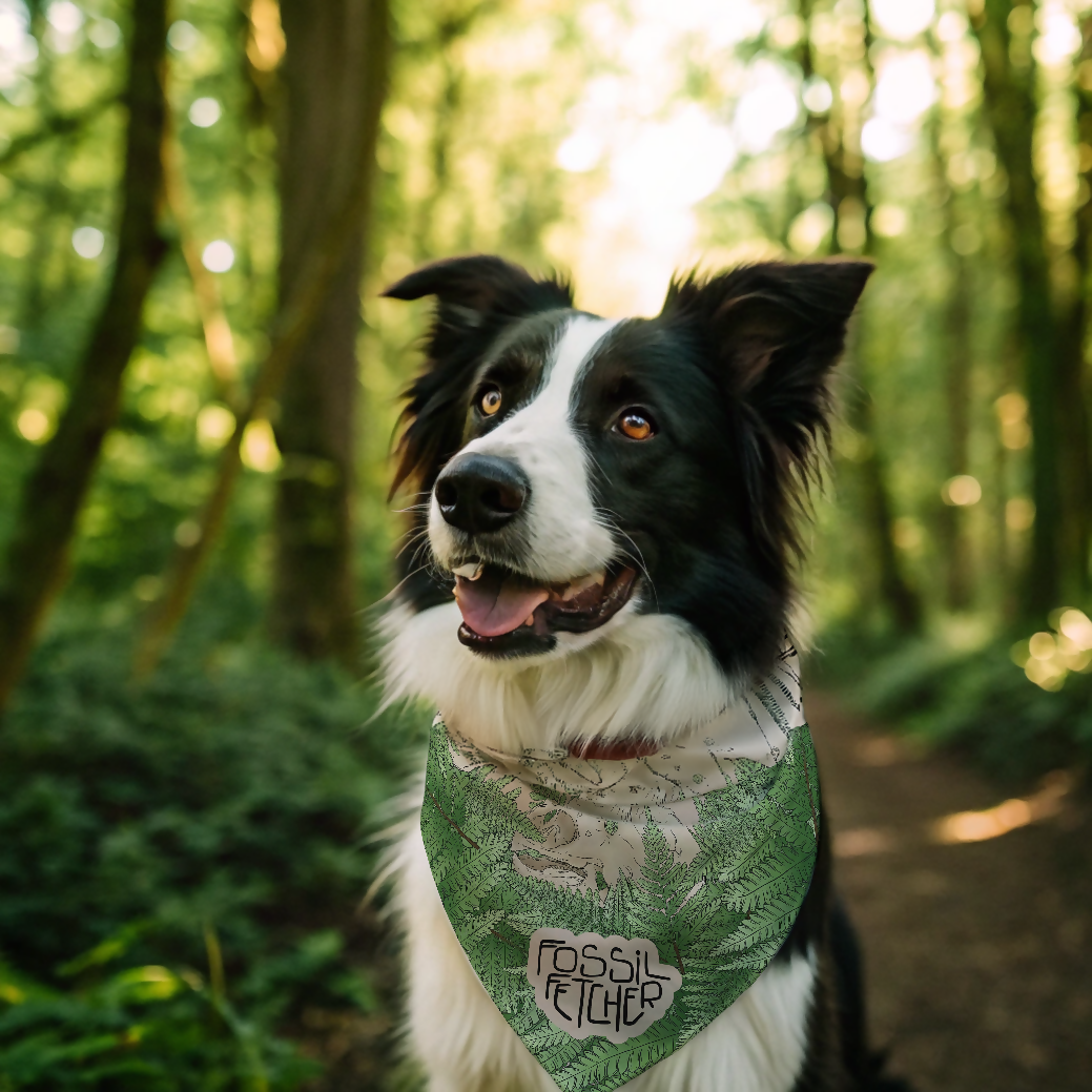 Ancient Explorer Pet Bandana
