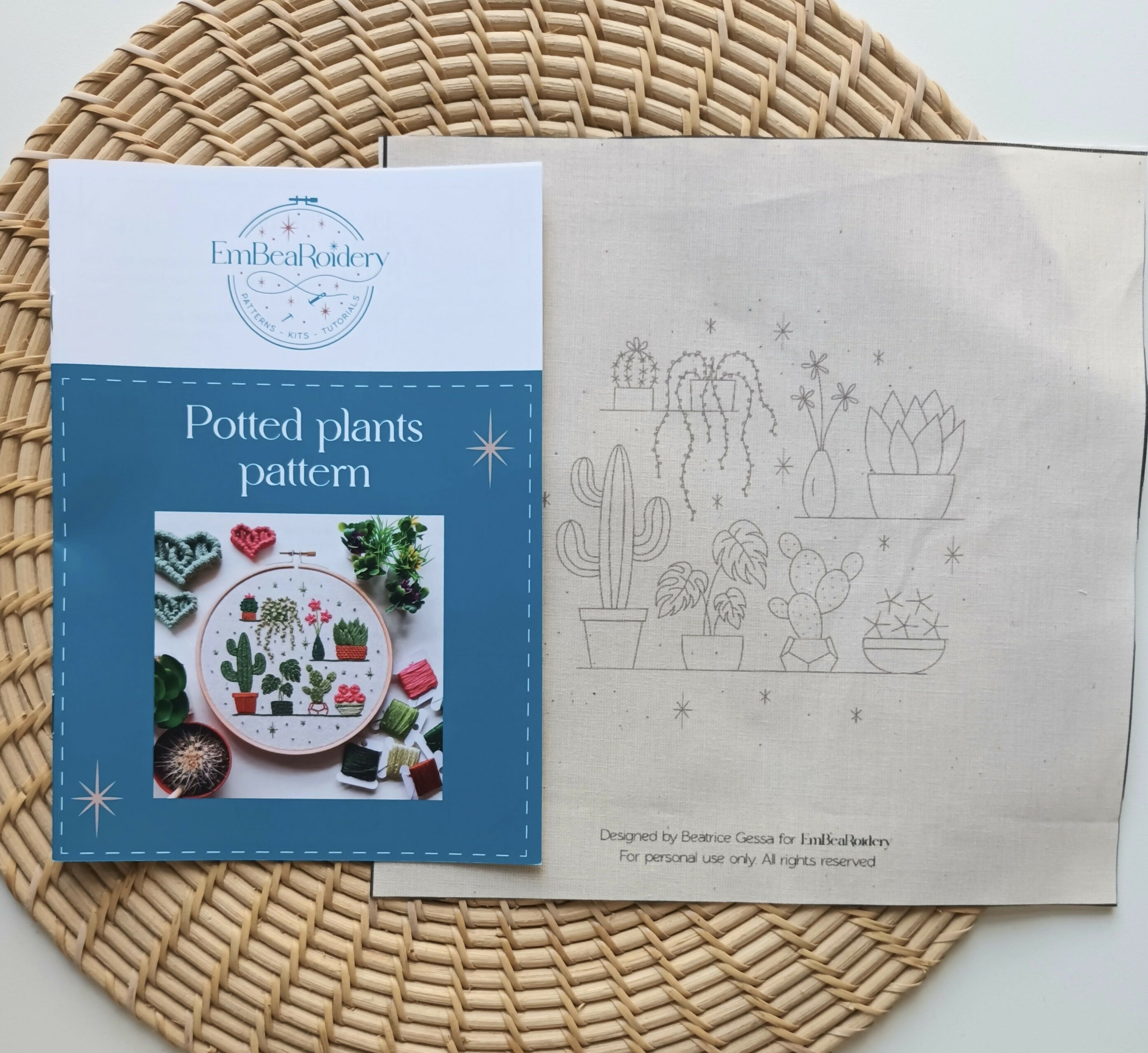 Preprinted Embroidery Pattern For Beginners - Potted Plants