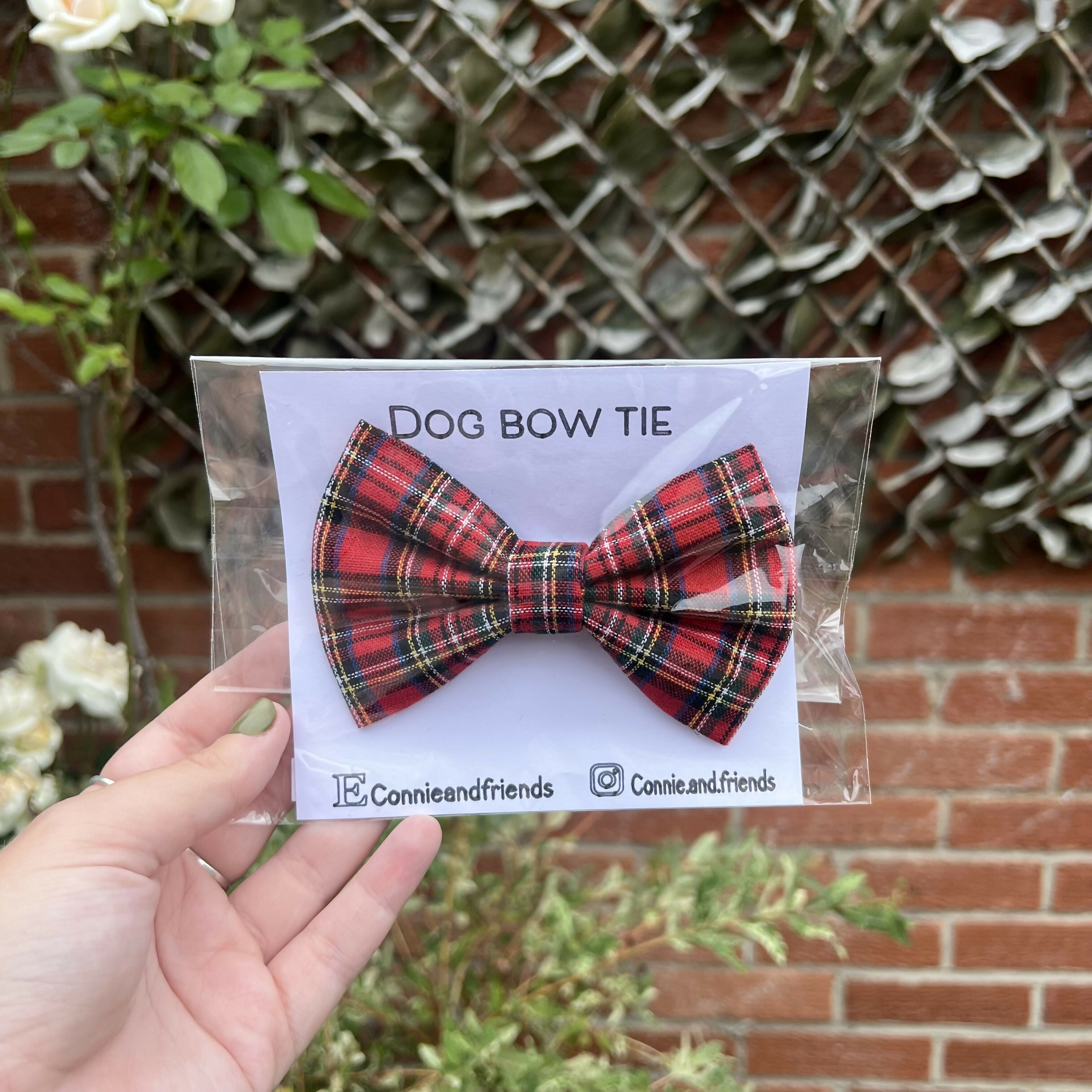 Red Tartan Dog Bow Tie