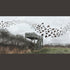 Starlings at Spurn - 16cm x 29.7cm Print