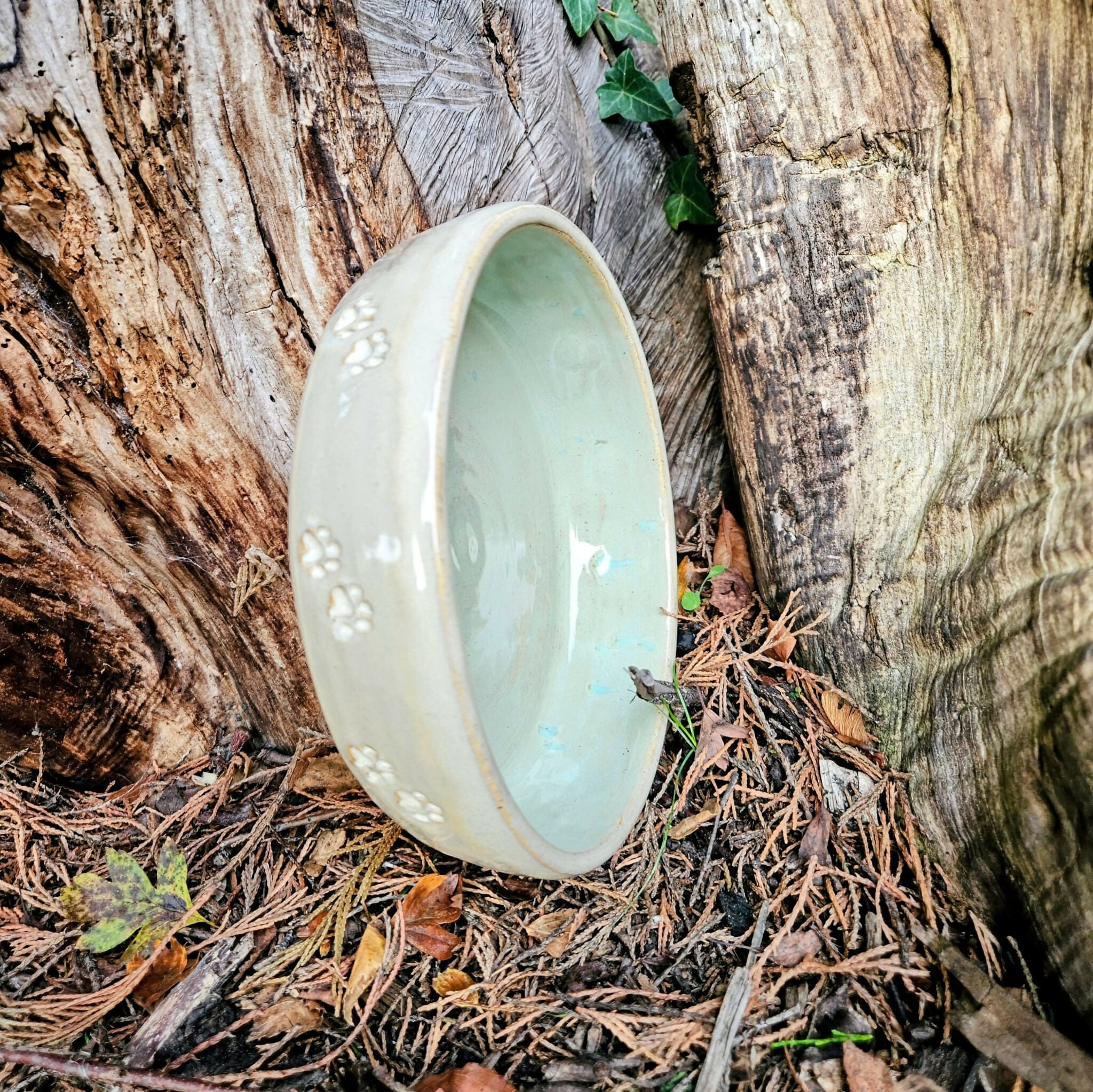 Dog Bowl