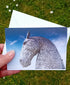 Falkirk Kelpie - card