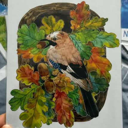 A5 Wild birds Prints