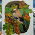 A5 Wild birds Prints