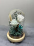 Preserved Flower Glass Dome