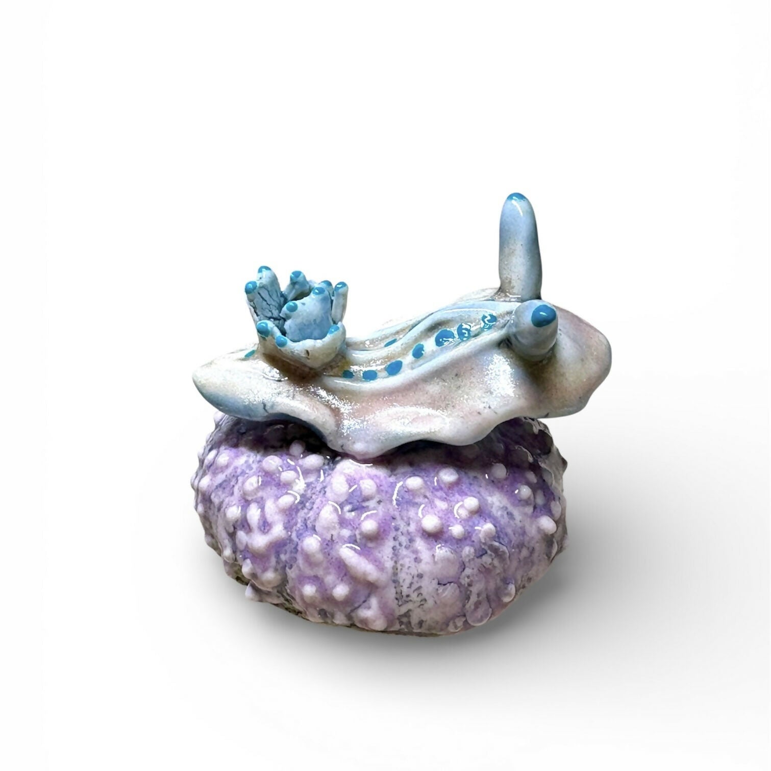 Handmade Porcelain Sea Slugs