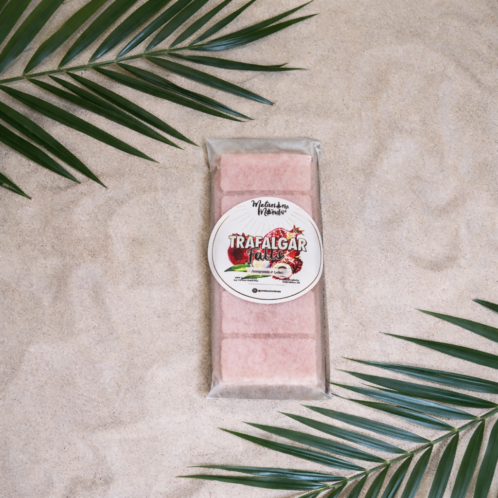 Caribbean Wax Melt Snap Bar: Tropical CocoSoy Vegan Home Fragrance