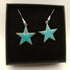 Mid Blue Star Enamel Earrings