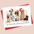 Christmas Card - Dogs